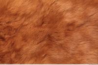 Photo Texture of Fabric Fur 0002